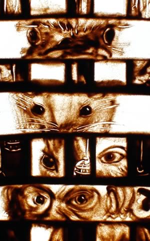 2010 - Recherches pour la pièce "Cet animal qui nous regarde"