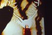 2016 : : Dessin sur sable en direct : : Théâtre, Paris