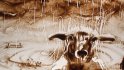 2012 : : Performances Dessin sur Sable, Animaux, Paris