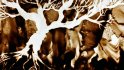 2018 - Dessin sable en direct pour film documentaire