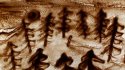 2009 - Dessin sur sable avec orchestre symphonique, Auditorium Lyon