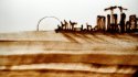 2010 - Dessin sur sable en direct, Abu Dhabi