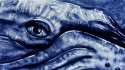 Bleu Nuit : : Film de dessin sur sable