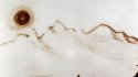 Dessin sur sable en direct, Lyon, 2009