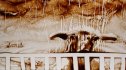 2012 : : Performances Dessin sur Sable, Animaux, Paris