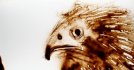 2012 : : Dessin rapide de rapace durant une exposition