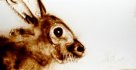 2012 : : Dessin rapide de Lapin durant une exposition
