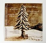 2017 : : DVD David Myriam : vidéos de dessin sur sable {JPEG}