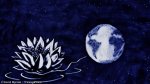 2016-2019 : : Spectacle dessin sur sable (nénuphar & Terre) : Souffle {JPEG}
