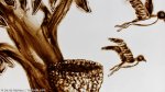 2016 : : Spectacle dessin sur sable : Souffle {JPEG}