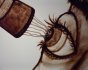 2006 - Film d'animation de sable "Do You Mind ?"